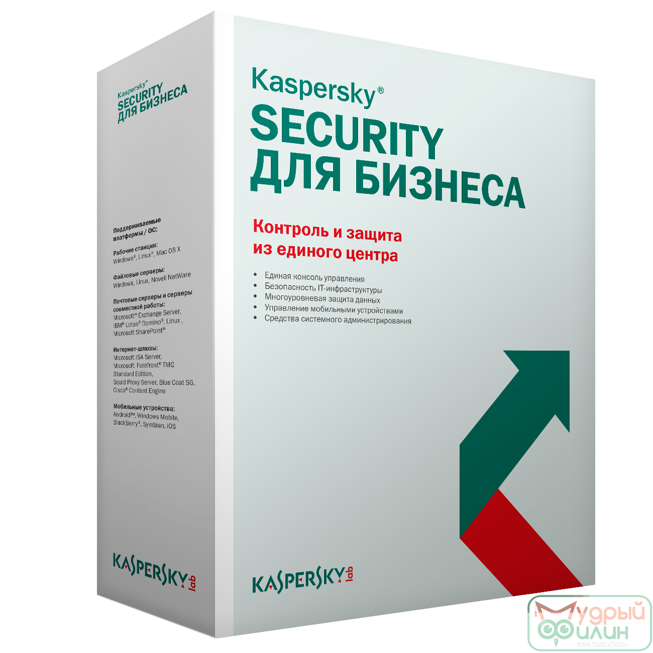 Kaspersky Endpoint Security для бизнеса – Стандартный Russian Edition. 20-24 Node 1 year Educational Renewal License - 1